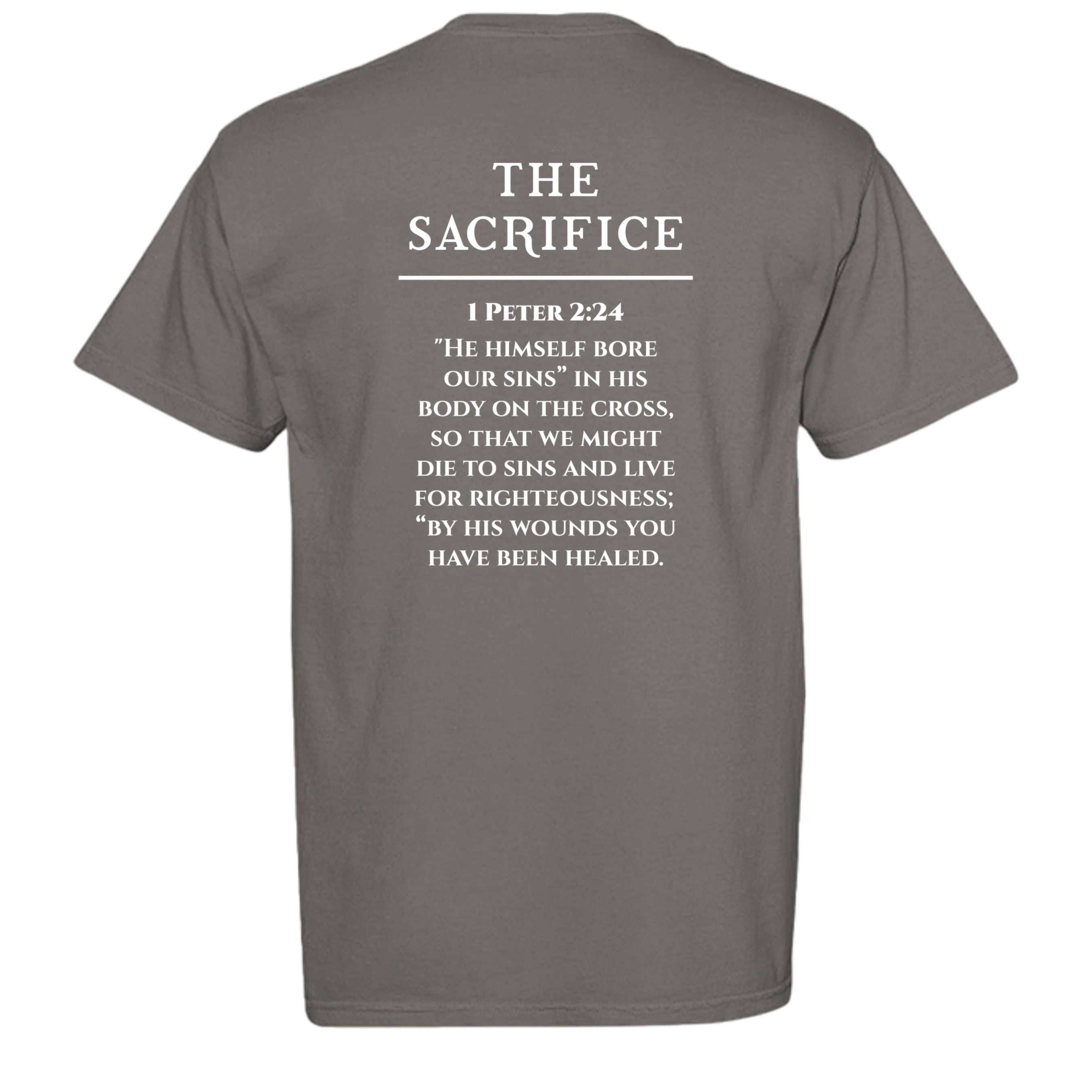 GREY - C1717 - BACK